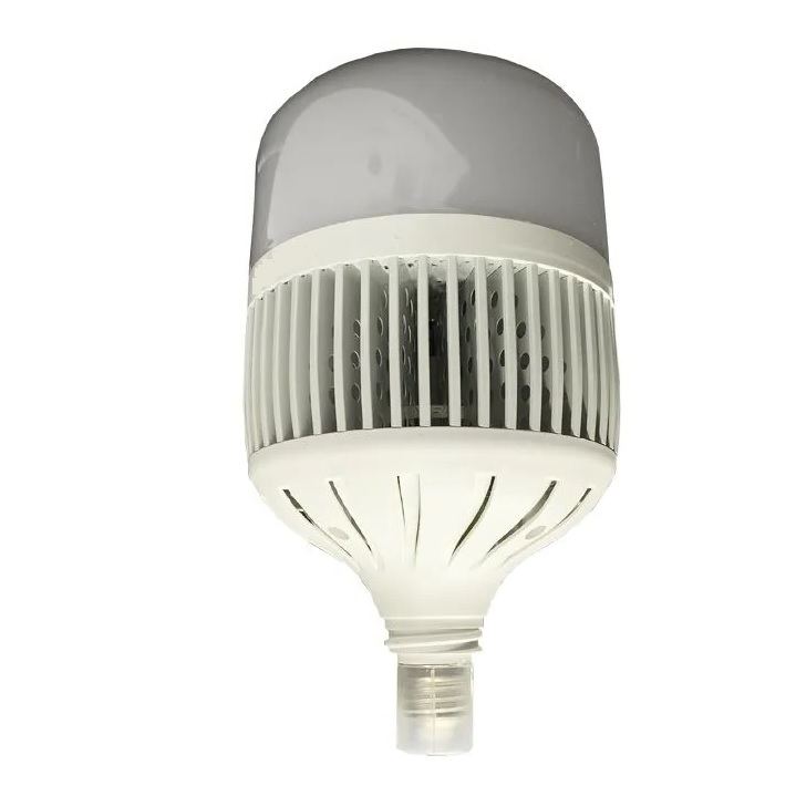 Bulbo 100 W 6500 K